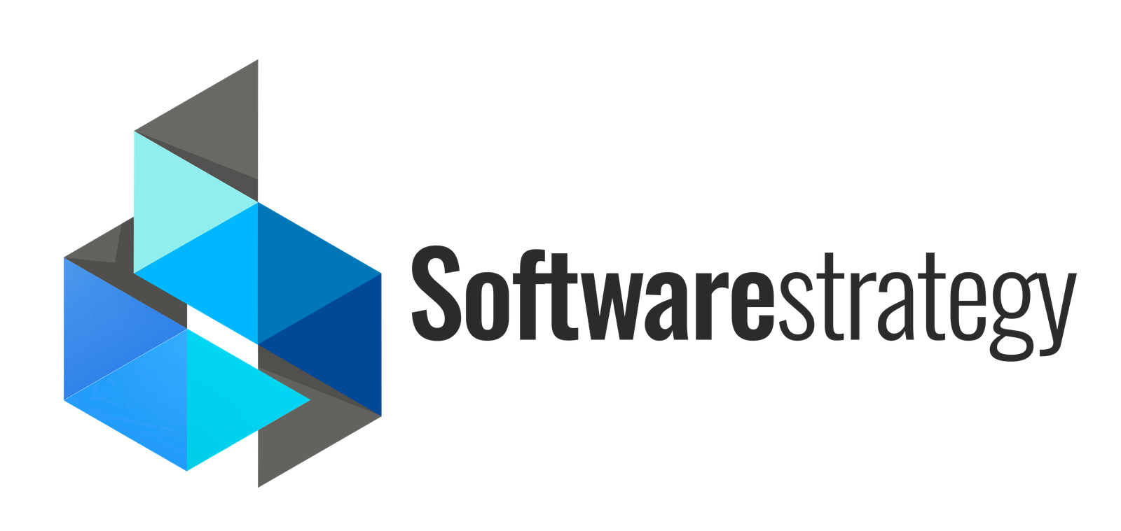 Software Strategy